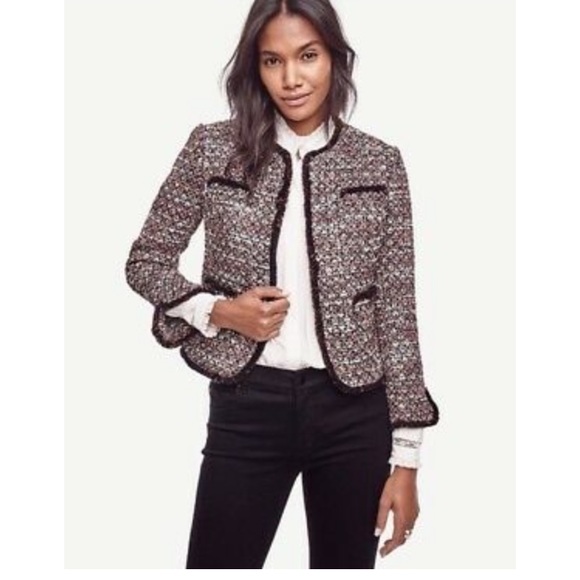 tweed jacket ann taylor